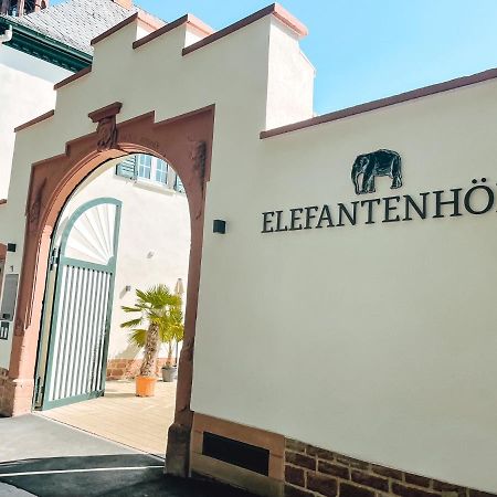 Apartment In Den Elefantenhoefen فورمز المظهر الخارجي الصورة
